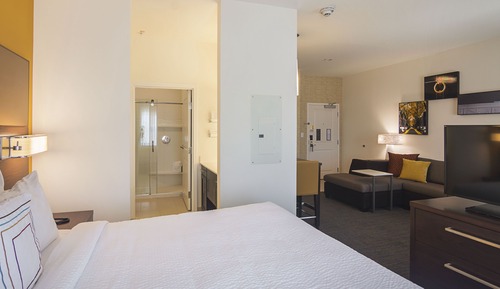 Studio, 1 King Bed with Sofa bed