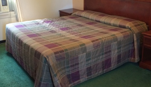 Room, 1 King Bed