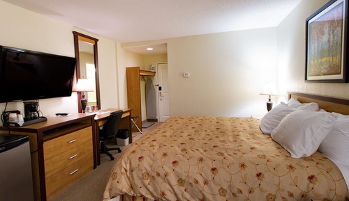 Room, 1 King Bed