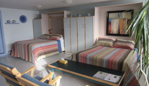 Apartment, Private Bathroom, Pool View (Studio)