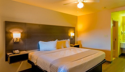 Room, 1 King Bed, Accessible
