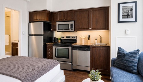 Classic Studio Suite, 1 Queen Bed with Sofa bed, Private Bathroom, City View