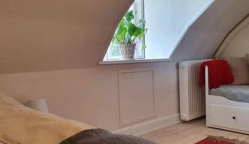 Premium Single Room, 1 Twin Bed, Park View, Garden Area