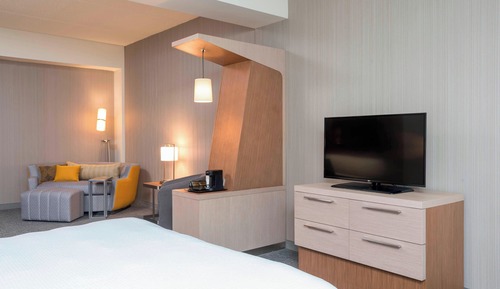 Room, 1 King Bed with Sofa bed, Hearing Accessible