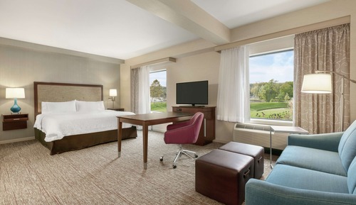 Studio, 1 King Bed, Patio, Lake View