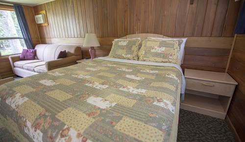 Rustic Twin Cedars South