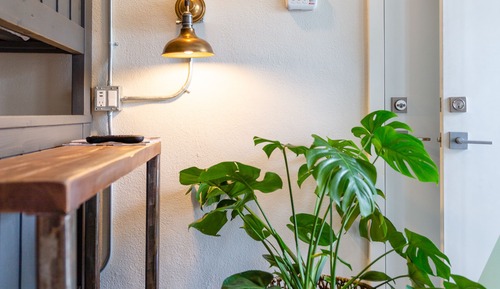 Junior Room, Multiple Beds