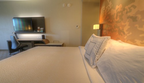 Room, 1 King Bed with Sofa bed, Mountain View (Mobility/Hearing Access, Roll-in Shwr)