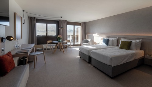 Superior Room, 1 King Bed, Mountain View (Superior Panorama)