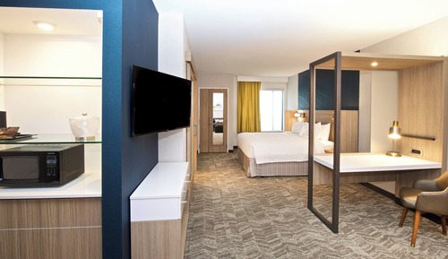 Suite, 1 King Bed with Sofa bed