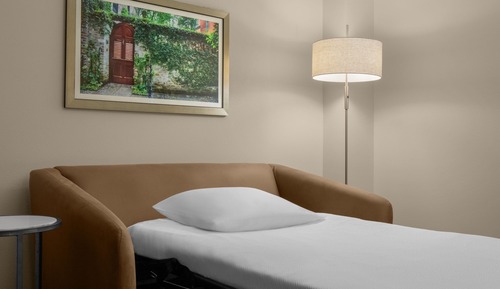 Room, 1 King Bed