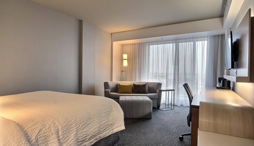 Room, 1 King Bed with Sofa bed