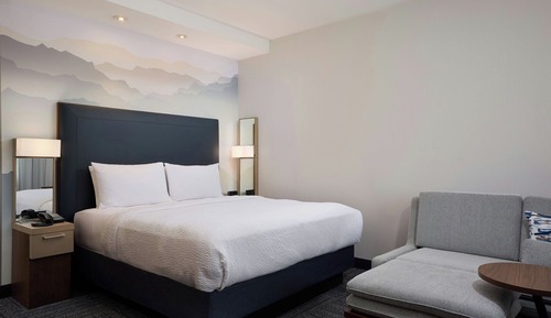 Room, 1 King Bed with Sofa bed (Mobility/Hearing Accessible, Tub)