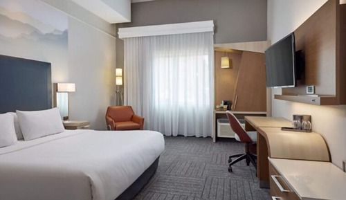 Room, 1 King Bed with Sofa bed (Hearing Accessible)