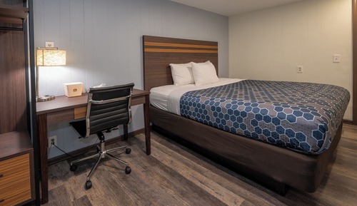 Single Room, 1 King Bed