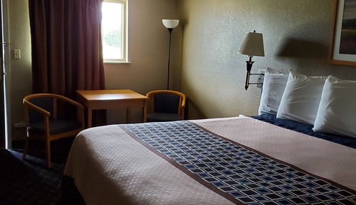 Single Room (Basic Single Room No pets allowed)