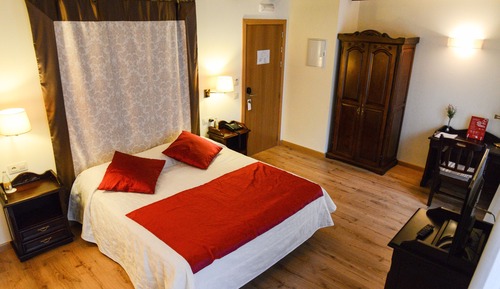 Standard Double Room Single Use
