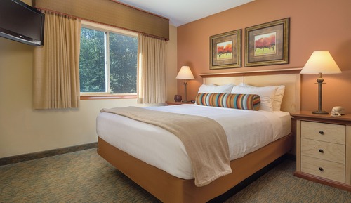 Suite, 1 Bedroom