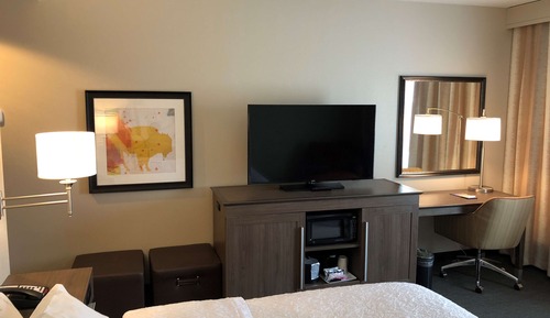 Room, 1 King Bed, Non Smoking, Refrigerator & Microwave