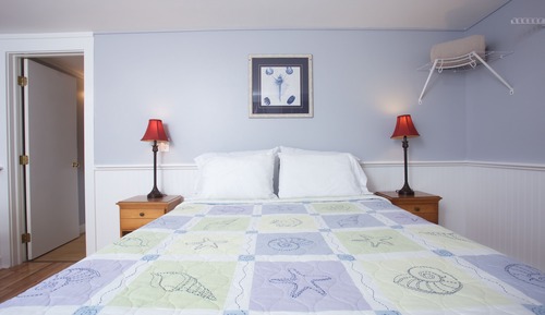 02 Motel Queen Pet Friendly 