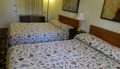 Room, 1 Queen & 1 Double Bed