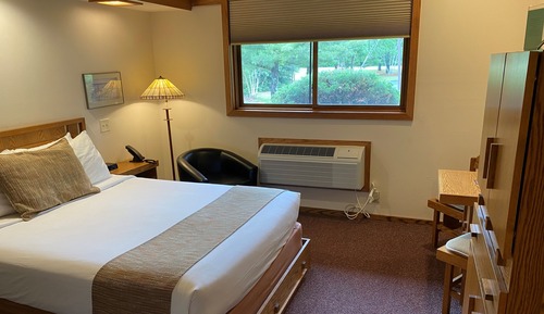 Single Room, 1 Queen Bed