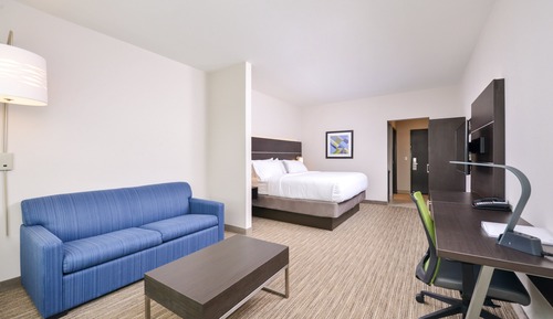 Suite, 1 King Bed with Sofa bed