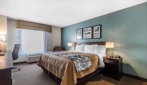 Standard Room, 1 King Bed, Non Smoking