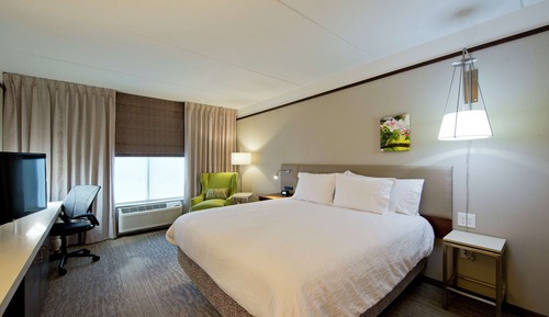 Room, 1 King Bed, Accessible (Roll-in Shower)
