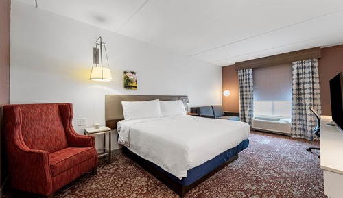 Room, 1 King Bed with Sofa bed, Non Smoking