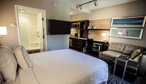 Studio, 1 King Bed with Sofa bed