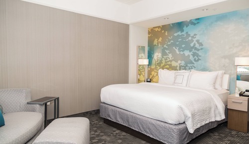 Room, 1 King Bed, Roll-in Shower