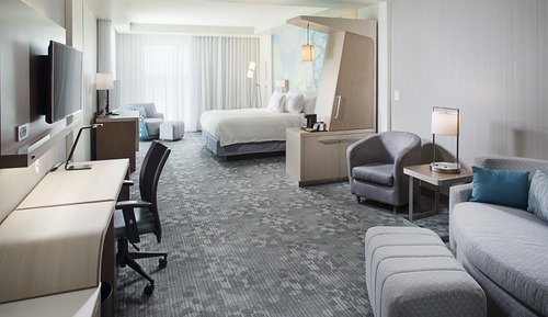 Suite, 1 King Bed with Sofa bed