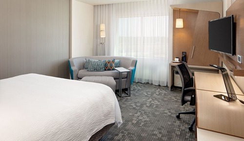 Room, 1 King Bed with Sofa bed