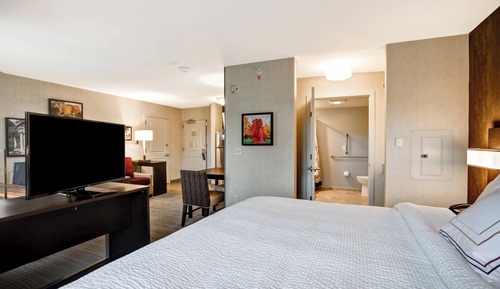 Studio, 1 King Bed with Sofa bed (Mobility Accessible, Roll-in Shower)