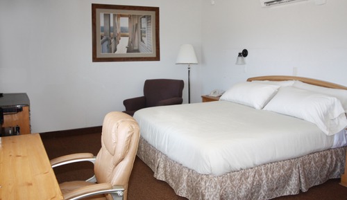 Room, 1 King Bed (Not Pet-Friendly)