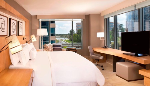 Room, 1 King Bed (Hearing Accessible)