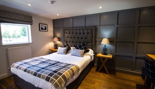 Superior Room, 1 King Bed