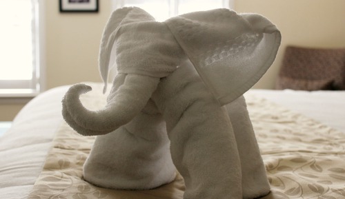 Standard Room, 1 King Bed