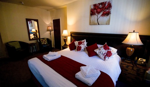 Ty Dre Suite Queen Room