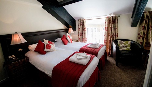 Ty Dre Standard  Queen Room