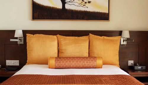 Superior Single Room