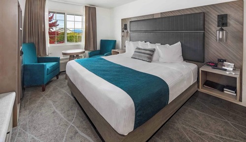 Room, 1 King Bed