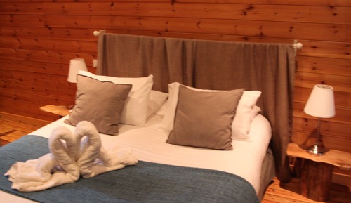 Double Room (Sequoïa)