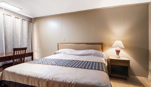 Room, 1 King Bed, Smoking