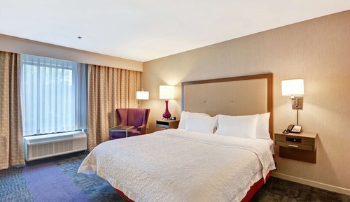 Room, 1 King Bed, Accessible, Non Smoking (Hearing)