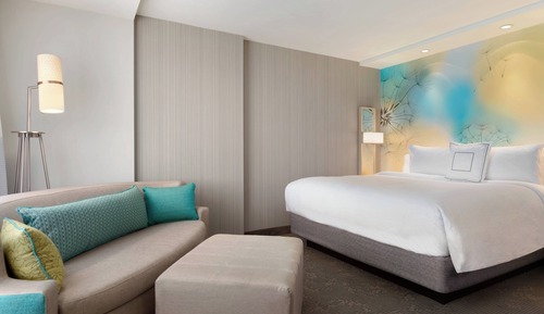 Room, 1 King Bed with Sofa bed