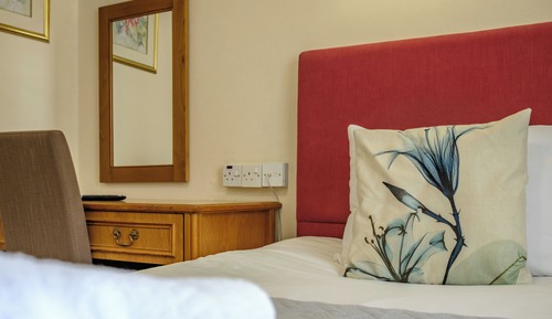 Superior Single Room