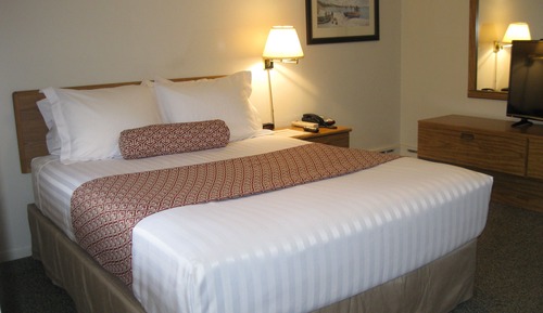 Standard Room, 1 Queen Bed, Refrigerator & Microwave, Ground Floor