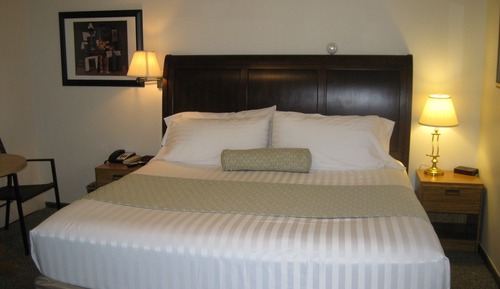 Standard Room, 1 King Bed, Refrigerator & Microwave, Ground Floor